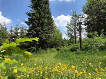 Natur genießen auf den Wegen rund um Holzhau, Iris Gläser