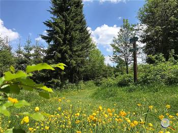 Natur genießen auf den Wegen rund um Holzhau, Iris Gläser