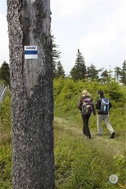 Auf dem Kammweg, Tourismusverband Erzgebirge e.V. Rene Gaens