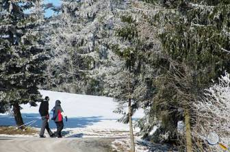 Winterwandern Foto: M. Matthes