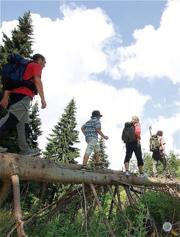 Einfach nur Spaß beim wandern, TVE, Detlev Müller